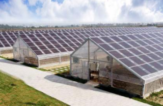Solar Agriculture Greenhouse